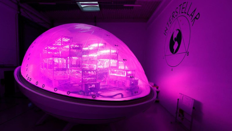 Interstellar Lab founder and CEO Barbara Belvisi poses inside a BioPod module, a high-tech greenhouse controlled by artificial intelligence designed to grow plants and develop agriculture, to fight against climate change and in preparation for future life on Mars, at Interstellar Lab in Ivry-sur-Seine near Paris, France, November 27, 2023. REUTERS/Gonzalo Fuentes     TPX IMAGES OF THE DAY
