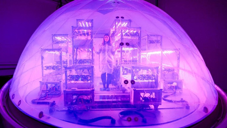 Interstellar Lab founder and CEO Barbara Belvisi poses inside a BioPod module, a high-tech greenhouse controlled by artificial intelligence designed to grow plants and develop agriculture, to fight against climate change and in preparation for future life on Mars, at Interstellar Lab in Ivry-sur-Seine near Paris, France, November 27, 2023. REUTERS/Gonzalo Fuentes     TPX IMAGES OF THE DAY