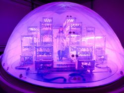 Simulasi Kebun Masa Depan Saat Manusia Tinggal di Mars