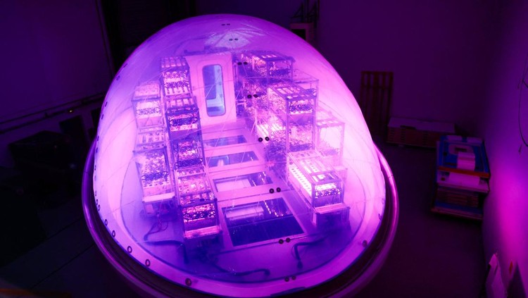 Interstellar Lab founder and CEO Barbara Belvisi poses inside a BioPod module, a high-tech greenhouse controlled by artificial intelligence designed to grow plants and develop agriculture, to fight against climate change and in preparation for future life on Mars, at Interstellar Lab in Ivry-sur-Seine near Paris, France, November 27, 2023. REUTERS/Gonzalo Fuentes     TPX IMAGES OF THE DAY