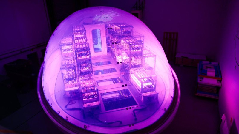 Interstellar Lab founder and CEO Barbara Belvisi poses inside a BioPod module, a high-tech greenhouse controlled by artificial intelligence designed to grow plants and develop agriculture, to fight against climate change and in preparation for future life on Mars, at Interstellar Lab in Ivry-sur-Seine near Paris, France, November 27, 2023. REUTERS/Gonzalo Fuentes     TPX IMAGES OF THE DAY