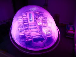 Simulasi Kebun Masa Depan Saat Manusia Tinggal di Mars