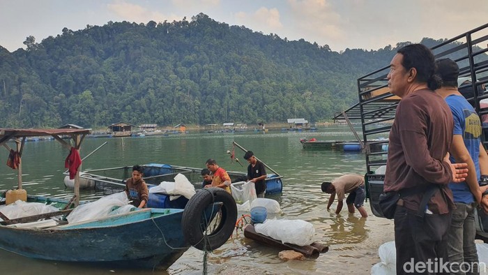 Situasi di waduk PLTA Koto Kampar beberapa waktu lalu (Raja Adil Siregar/detikSumut)