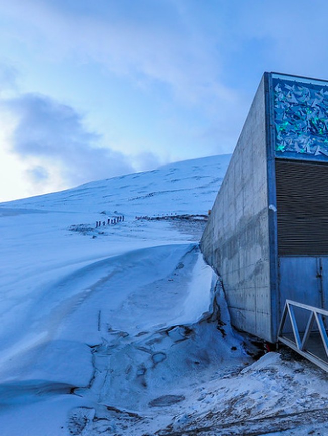 Bungker Kiamat, Tempat Berlindung Kalau Bumi Kena Bencana Global