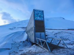 Seperti Ini Bagian Dalam Gudang Perbekalan Kiamat