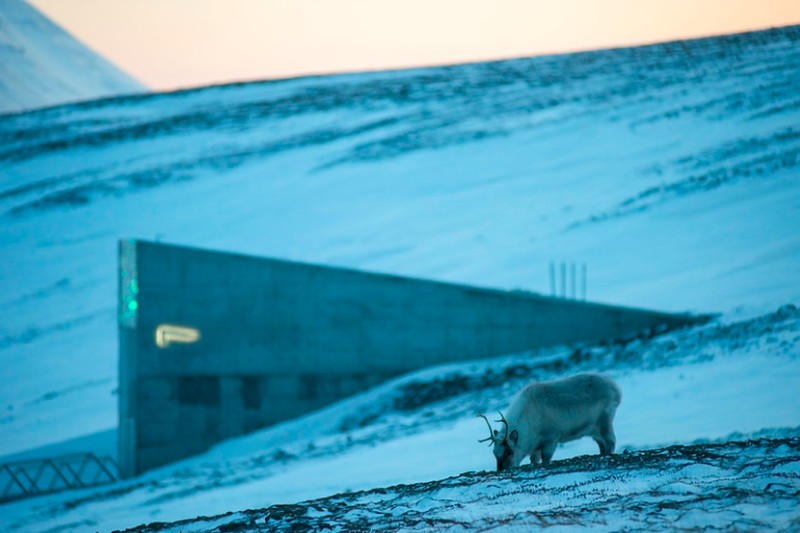 Svalbard Global Seed Vault