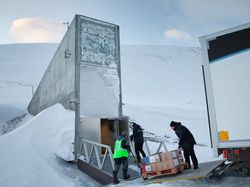Seperti Ini Bagian Dalam Gudang Perbekalan Kiamat