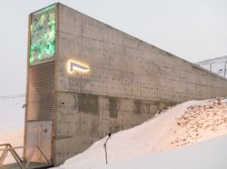 Seperti Ini Bagian Dalam Gudang Perbekalan Kiamat