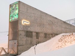 Persiapan Perang Global, Dunia Simpan 1,2 Juta Benih di Gudang Kiamat