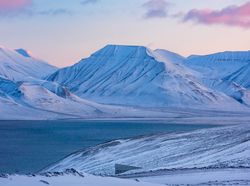 Gudang Persiapan Kiamat Sungguhan Ada, Ini Isinya