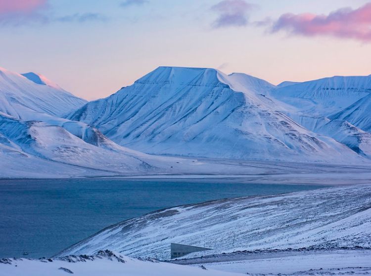 Mengintip Gudang Kiamat, Persiapan Perang Hadapi Krisis Pangan