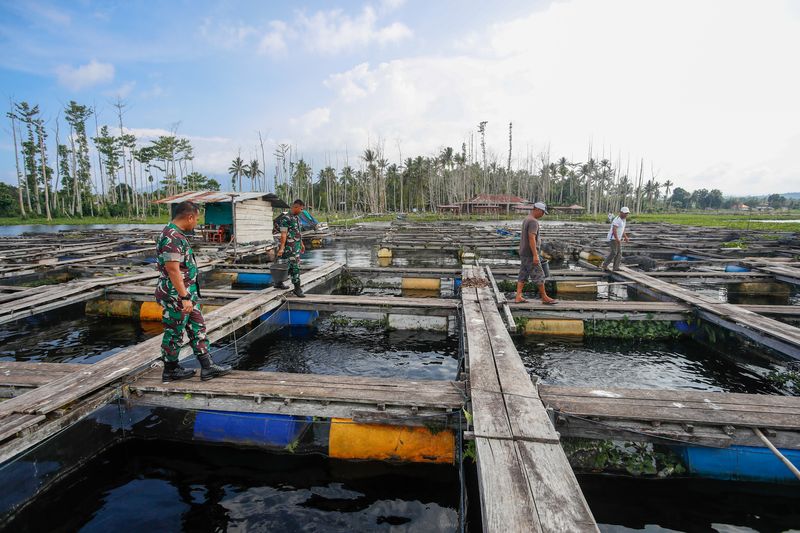 TNI di Tobelo Bantu Genjot Ekonomi-Ketahanan Pangan.