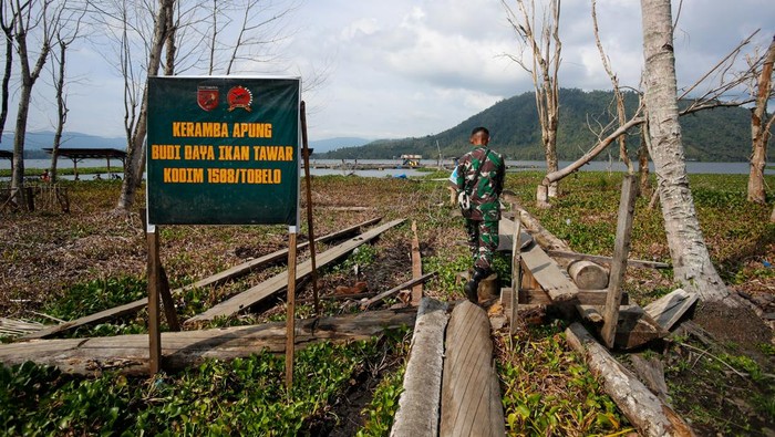 TNI di Tobelo Bantu Genjot Ekonomi-Ketahanan Pangan.