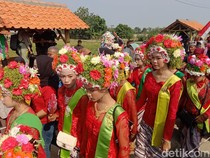 Melihat Tradisi Ngarot, Simbol Regenerasi Petani Lelea Indramayu