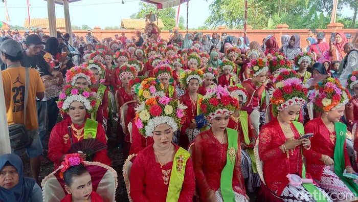 Tradisi Ngarot Indramayu