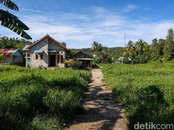 Warga di Wilayah Terluar Tak Perlu Lagi Sebrangi Laut Buat Internetan
