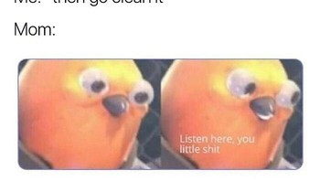 Auto diusir dari rumah. Foto: funnyposts via Bored Panda