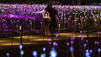 Pekerjaan Munro memasang ribuan lampu sendiri bisa dinikmati oleh banyak orang di berbagai belahan dunia. Pasalnya, selain di Freedom Plaza New York ia juga sudah pernah mendesain sejumlah taman di Inggris, Amerika, Australia.  