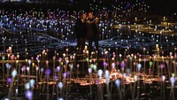 Bruce Munro telah diakui dunia internasional atas karya-karya menakjubkannya dengan menggunakan instalasi berbasis cahaya lampu dalam menciptakan lanskap pemandangan layaknya dalam dunia dongeng.  