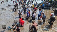 Perburuan ikan di dalam bendungan yang terletak di Desa/Kecamatan Tapen, Bondowoso tersebut merupakan tradisi asatan. Yaitu pengurasan air bendungan yang memang dilakukan setiap tahun.
