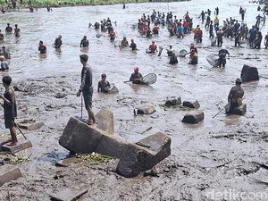 Melihat Asatan, Momen Berburu Ikan di Bendungan Sampean Baru Bondowoso