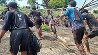 Warga membawa ikan hasil tangkapan saat asatan di Bendungan Sampean Baru Bondowoso.