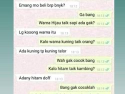 Kumpulan Chat Random Warga +62 Bikin Ngakak Parah