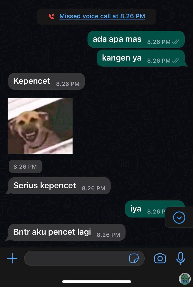 Chat Random Kocak