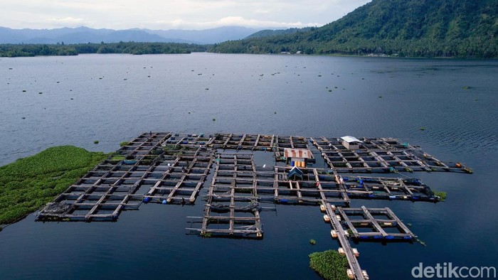 Kehadiran TNI AD di Tobelo, Halmahera Utara bak membawa angin segar bagi masyarakat di sekitar Danau Galela. Pasalnya bukan hanya memastikan keamanan dan kedaulatan wilayah, TNI AD Kodim 1508 juga berupaya menggeliatkan perekonomian masyarakat sekitar.