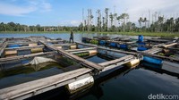 Keramba ikan di Danau Galela sebelumnya sudah lama dikembangkan oleh masyarakat. Hanya saja pengelolaan dan pengembangannya masih kurang baik, sehingga membutuhkan bantuan dari pemerintah atau pihak instansi terkait. Karena itu lah TNI hadir untuk mencoba membenahinya.