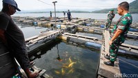 Kemudahan petani tambak mengakses media sosial dan YouTube tentunya juga tidak terlepas dari lancarnya jaringan dan internet yang ada. Hal itu karena wilayah Halmahera Utara, khususnya Tobelo sudah menjadi kota interkoneksi Palapa Ring yang dibangun pemerintah lewat Bakti Kominfo.