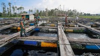 Kehadiran Palapa Ring sendiri memang bertujuan mendorong operator telekomunikasi untuk mengembangkan jaringan pita lebar di wilayah 3T di Indonesia. Dengan adanya Palapa Ring diharapkan bisa membangkitkan potensi wisata, ekonomi, pendidikan, dan sektor lainnya sehingga masyarakat bisa merasakan manfaat kemudahan dari internet.