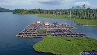Ia menuturkan awalnya keramba di danau ini hanya ada beberapa petak kecil. Namun saat ini sudah berkembang menjadi lebih banyak dan lebih besar. Karena sudah berkembang dengan baik, untuk sumber penghasilan dari keramba ikan nila, kini sebagian sudah dikelola oleh masyarakat sendiri dan sebagian dimanfaatkan oleh anggota TNI yang juga ikut menambak ikan di Danau Galela.