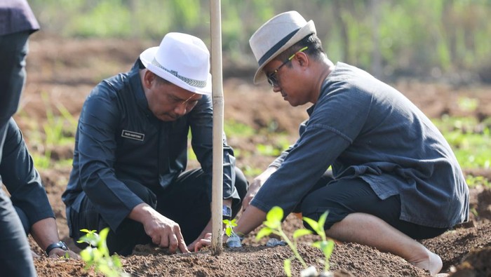 Gerakan Masyarakat Tanam Cabai di Purwakarta.