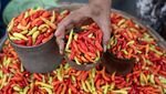 Harga Cabai Rawit Makin Pedas di Palu