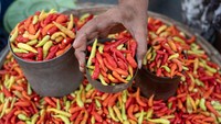 Setelah bertahan di harga Rp 100 ribu/kg pada pekan lalu, memasuki pekan ketiga Desember harga cabai rawit naik lagi menjadi rata-rata Rp 125 ribu/kg karena kurangnya pasokan dan tingginya permintaan menjelang Natal dan tahun baru.  
