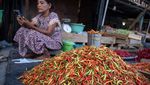 Harga Cabai Rawit Makin Pedas di Palu