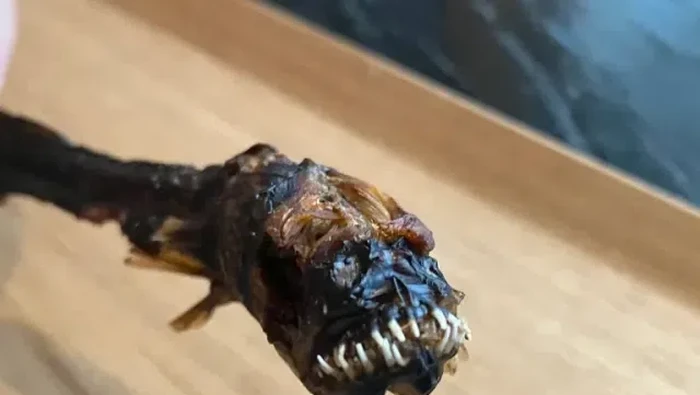 Ikan unik mirip alien yang menyeramkan