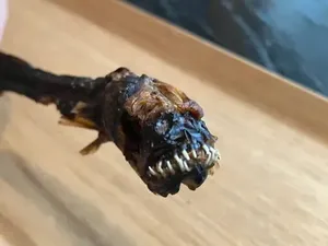 Ikan Berwajah Alien yang Jadi Camilan Warga Jepang