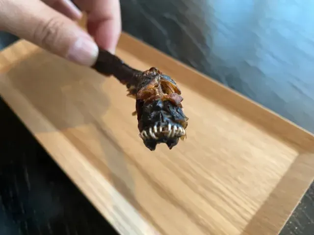 Ikan unik mirip 'alien' yang menyeramkan