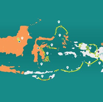 Palapa Ring, Tulang Punggung Penghubung Pelosok RI