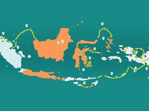 Palapa Ring, Tulang Punggung Penghubung Pelosok RI