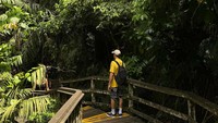 Kalau ini, Marc ingin difoto sendirian di tengah naungan hutan Ubud yang sejuk. Kaos kuning Marc tampak kontras dengan latar belakang hutan Ubud yang hijau. (Instagram/@marcmarquez93)