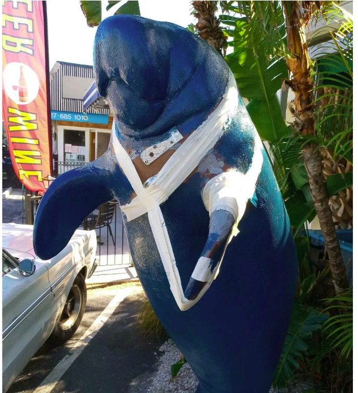 Patung Manatee dilecehkan oleh turis