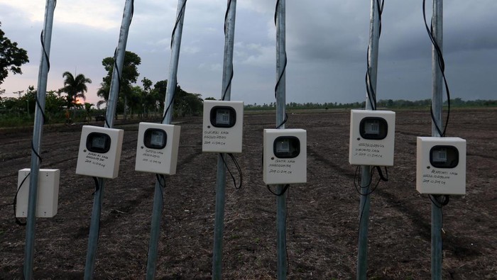 Peningkatan kebutuhan listrik sektor agrikultur Petugas PLN berbincang dengan petani di lahan pertanian bawang merah di Tegaldelimo, Bayuwangi, Jawa Timur, Rabu (13/12/2023) PT PLN (pesero) UP3 Banyuwangi UID Jawa Timur mencatat pada tahun 2023 telah melayani sekitar sekitar 20 ribu pelaggan sektor agrikultur atau meningkat 17 persen dibandingkan tahun sebelumnya. ANTARA FOTO/Budi Candra Setya/Spt.
