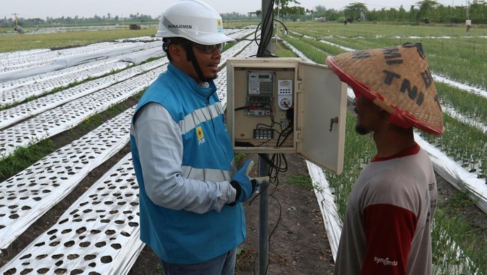 Peningkatan kebutuhan listrik sektor agrikultur Petugas PLN berbincang dengan petani di lahan pertanian bawang merah di Tegaldelimo, Bayuwangi, Jawa Timur, Rabu (13/12/2023) PT PLN (pesero) UP3 Banyuwangi UID Jawa Timur mencatat pada tahun 2023 telah melayani sekitar sekitar 20 ribu pelaggan sektor agrikultur atau meningkat 17 persen dibandingkan tahun sebelumnya. ANTARA FOTO/Budi Candra Setya/Spt.