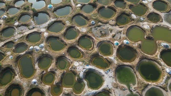 Pesona Sumur Garam di Senegal yang Jadi Warisan Dunia UNESCO A view over salt wells in Palmarin, Sine Saloum Delta region which is classified as UNESCO world heritage site, Senegal December 11, 2023. REUTERS/Zohra Bensemra