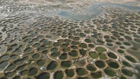 Pemandangan sumur garam di Palmarin, kawasan Delta Sine-Saloum di Senegal, Senin (11/12/2023).  