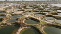 Delta Sine-Saloum ini sangat spektakuler. Di sinilah tempat bertemunya Sungai Sine, Saloum, dan Diombos dengan lautan, dan merupakan pusat kehidupan masyarakat Serer yang sangat mandiri, dan berjumlah kurang dari 15 persen populasi Senegal.  