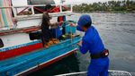 Potret Polair Halut Jaga Konektivitas di Wilayah Terluar